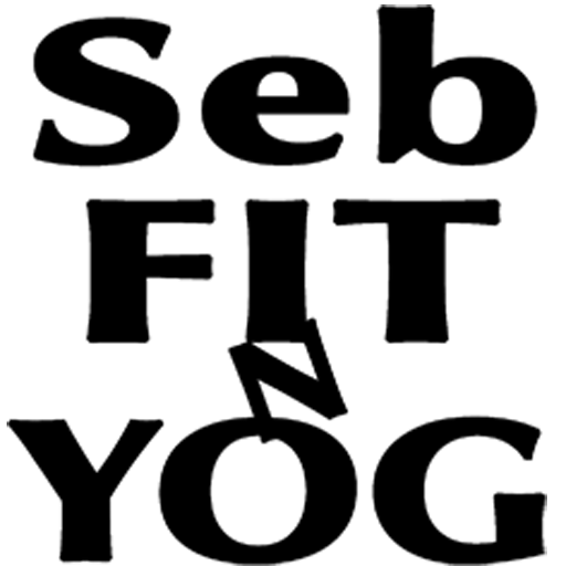 Seb Fit N Yog logo